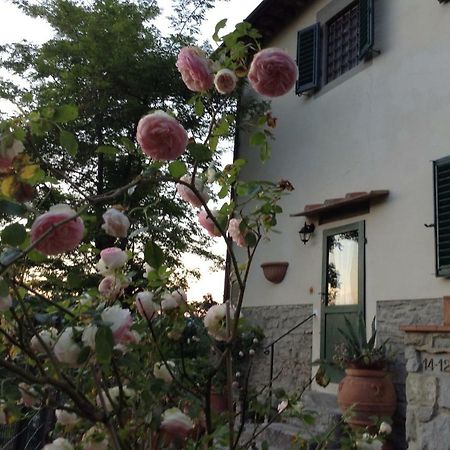 Fiesole In Giardino B&B Luaran gambar