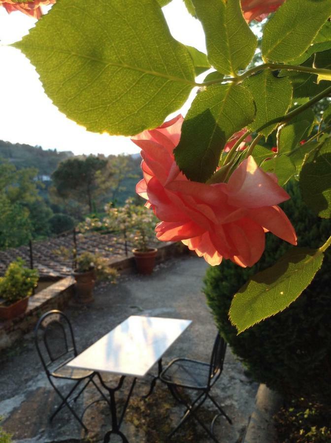 Fiesole In Giardino B&B Luaran gambar